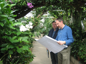 Greenhouse Engineer studying a plan in a conservatory